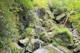 Great smoky mountains national park was established on june 15, 1934 after overcoming numerous economic, cultural, and political issues. Roaring Fork Motor Nature Trail Stops For Waterfalls More Near Gatlinburg Tn In Smoky Mountains Smokies Travel Blog Flashpacking America