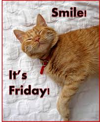 Inboxdollars The Free Online Rewards Club That Pays Cash Friday Humor Friday Images Happy Birthday Funny Cats