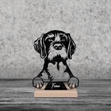 Image result for německý ohař dlouhosrstý