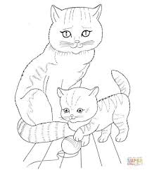 Kitten with a beautiful bow on neck. Cute Kitten Coloring Pages Part 1