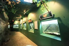 Akuarium tunku abdul rahman | the fishes. Zoo Negara Tunku Abdul Rahman Aquarium