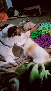 Melissa Sullins (@melissasullins420)