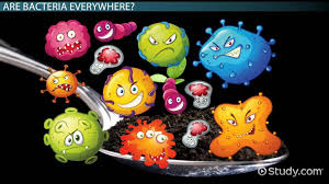 Teaching kids about germs this activity introduces students to pathogens or germs and how they are transmitted. Bacteria Lesson For Kids Definition Facts Types Video Lesson Transcript Study Com