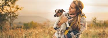 Compare Healthy Paws Pet Insurance Vs Banfield Healthy Paws