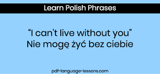 English translations and free audio lesson inside. I Love You In Polish Polish Language Language Lessons Sms Language