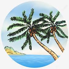 Pohon kelapa, pohon palem, pohon, kelapa, langit biru, pohon, telapak tangan, gratis, gambar tanpa hak cipta. Gambar Tanam Pohon Kelapa Tanaman Pohon Kelapa Laut Png Transparan Clipart Dan File Psd Untuk Unduh Gratis