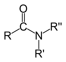 Check spelling or type a new query. Amide Wikipedia