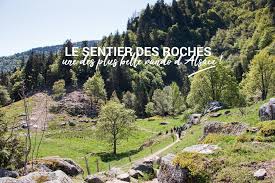 Le Sentier Des Roches Une Des Plus Belles Randonnee D Alsace Sentiers Randonnee Randonnee Vosges