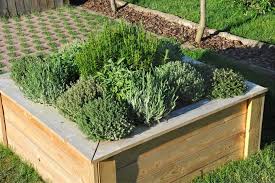Außerdem sind sie stets griffbereit und pflückfrisch. Krautergarten Planen Und Anlegen So Geht S Mein Schoner Garten