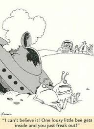 The Far Side Gary Larson Cartoons Far Side Cartoons The Far Side