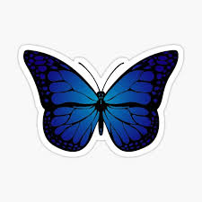 Hopefully fill the posts we write butterfly drawing blue. Blue Monarch Butterfly Gifts Merchandise Redbubble