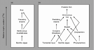 Learn vocabulary, terms and more with flashcards, games and other study tools. Simplified Food Webs In A Lake A Simple Littoral Food Chain With Download Scientific Diagram