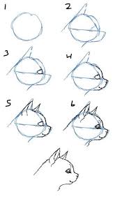 How To Draw Cat Faces Heads Side View Cat Face Drawing Cat Drawing Tutorial Animal Drawings This step by step there are estimated to be around 400 million dogs in the world.