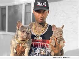 Official breed description of french bulldog puppies. Champ Kennels An L A Dog Breeder To The Stars With Miniature French Bulldogs California Newswire