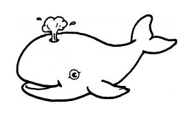 Maybe you would like to learn more about one of these? Whale Coloring Pages For Toddlers Novocom Top