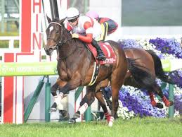 テイルズ オブ フェスティバル 2020」in テイルズ オブ ショップ. ãƒãƒ¥ãƒ¼ãƒªãƒƒãƒ—è³ž 2019 å›žé¡§ å‹ã¡é¦¬ã¯å¼·ã„ãŒæ¡œèŠ±è³žã¾ã§ã‹ ç«¶é¦¬äºˆæƒ³ã®ã‚­ãƒ³ã‚°ã‚¹ãƒãƒ¼ãƒ„