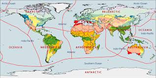Peta Sebaran Fauna Paleartik Neartik Ethiopian Oriental Australis Neotropik Guru Geografi