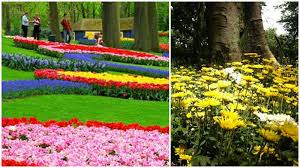 Taman kandaga pustaka bunga adalah taman hasil revitalisasi wali kota bandung ridwan kamil. 16 Taman Pustaka Bunga Via Aprillia Putrie Wisatadibandung Net Stuff To Do Things To Do Family Fun