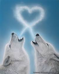 Animales Khaosdog Wolf Malen Verliebte Wolfe Wolf Zeichnung