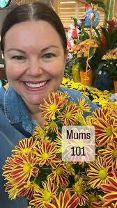 Mums 101 , 1. Ever wonder why your mums don't reappear the next spring? Did  you know that Chrysanthemums are perennials, but timing is key! Please note  there is a florist variety that you typically ...