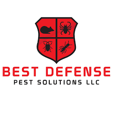 Uncover why advanced maintenance solutions, llc is the best company for you. Termite Treatment Janesville Wi Termite Inspections