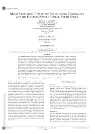 Image result for Cryptolepis cryptolepioides
