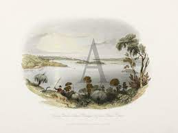Sydney Garden Island Pinchgut From Point Piper Antique Print Map Room Sydney Gardens Antique Prints Art