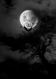 Select and download wallpaper for windows and android! Obessions