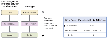 6 1 Electronegativity And Polarity Chemistry Libretexts