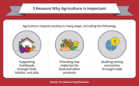 Why Is Agriculture Important? Benefits and Its Role | Maryville Online