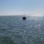 Video for Brownes Thames Estuary Boat Trips