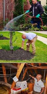 We offer complete exterminator and pest control services to the greater houston, tx area bug free pest control— professional consultation, timely service, most importantly, expertise.a. 27 Pest Control In Houston Ideas Pest Control Pest Control Services Pests