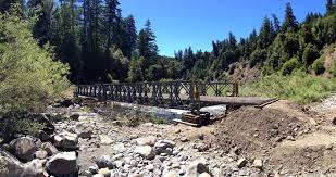 Lose yourself under giant redwoods. Your Support Returned A Bridge To The Redwoods Save The Redwoods League