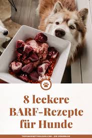 10 Leckere Barf Rezepte Fur Hunde Buchtipp Fur Den Barf Start Barf Rezepte Kochen Fur Hunde Kuchen Fur Hunde