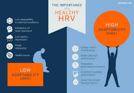 Heart Rate Variability Hrv Infographic Hrv Autonomic Nervous System Apple Health