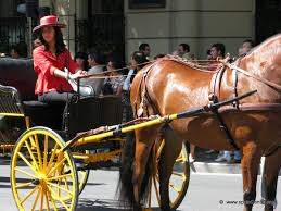 Compra y venta pilchas gauchas. Paseo En Coches De Caballos Viajar A Sevilla