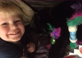 Petition started to change law over reporting of cat deaths