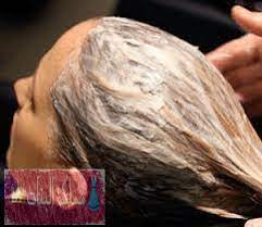 خوف علامة رجولي المايونيز للشعر الخفيف living legends villas com