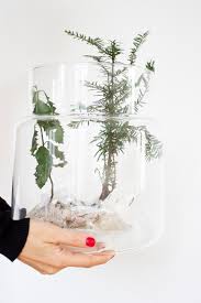 Blumentöpfe aus ton sind ihnen zu langweilig? Deko Im Glas So Machst Du Ein Schone Winterlandschaft Im Glas