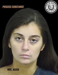 Palm Beach Mug Shots