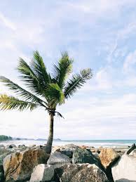 Permandangan Indah Di Pantai Pulau Kekabu Marang Husniey Husain