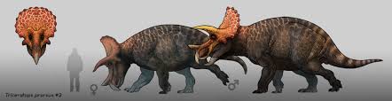 Neo magazin royale gibt es bei ebay. Artstation Triceratops Concept Design Maurizio Morosan