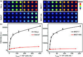 Compare money transfer services, compare exchange rates and commissions for sending money from japan to malaysia. Fluorescent Visual Quantitation Of Cell Secreted Sialoglycoconjugates By Chemoselective Recognition And Hybridization Chain Reaction Analyst Rsc Publishing