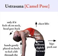 Pin On Love To Do Yoga