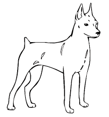 Min Pin Coloring Page Miniature Pinscher Min Pin Coloring Pages