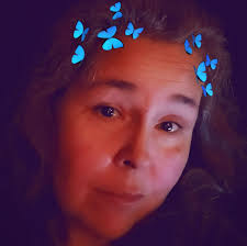 Are alleys plowed in winter?