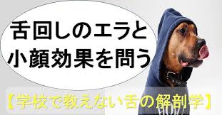 動画で学ぶ 目と顔の歪みを治す体操２つのポイント 小顔矯正 整体を東京でお探しならrevision 顔の歪み 治す 目
