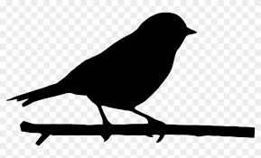 ✓ free for commercial use ✓ high quality images. Bird Branch Silhouette Clip Art Hotel Ruisenor San Miguel De Allende Free Transparent Png Clipart Images Download