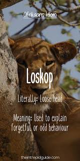 Pin On Learn Afrikaans