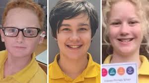 Horror detail alleged in Tasmania jumping castle deaths